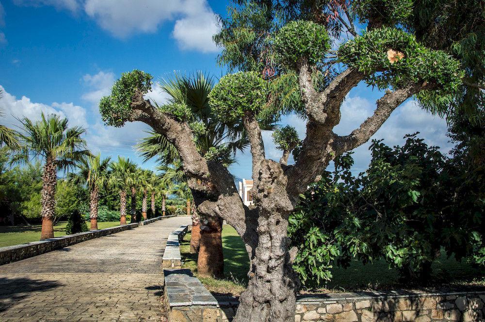 Kalamákion Leone Luxury Villas מראה חיצוני תמונה
